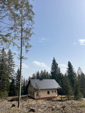 Almhaus Murtal Zirbenland